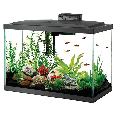 fish tank 20 gallons|20 gallon fish tank for sale.